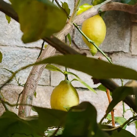 شقة Bella Casa Con Vista Panoramica