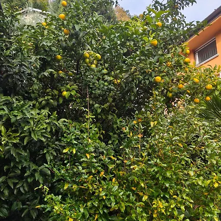 Bella Casa Con Vista Panoramica *