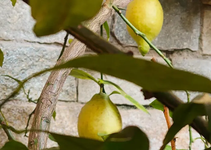 Apartment Bella Casa Con Vista Panoramica