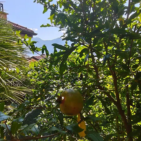 Bella Casa Con Vista Panoramica